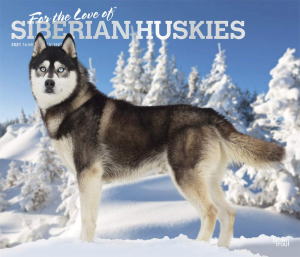 2021NVxAnXL[ChTCYǊ|J_[For the Love of Siberian huskies[d^Cv]