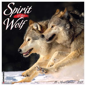 2021NIIJ~Ǌ|J_[Spirit of the Wolf[a^Cv]